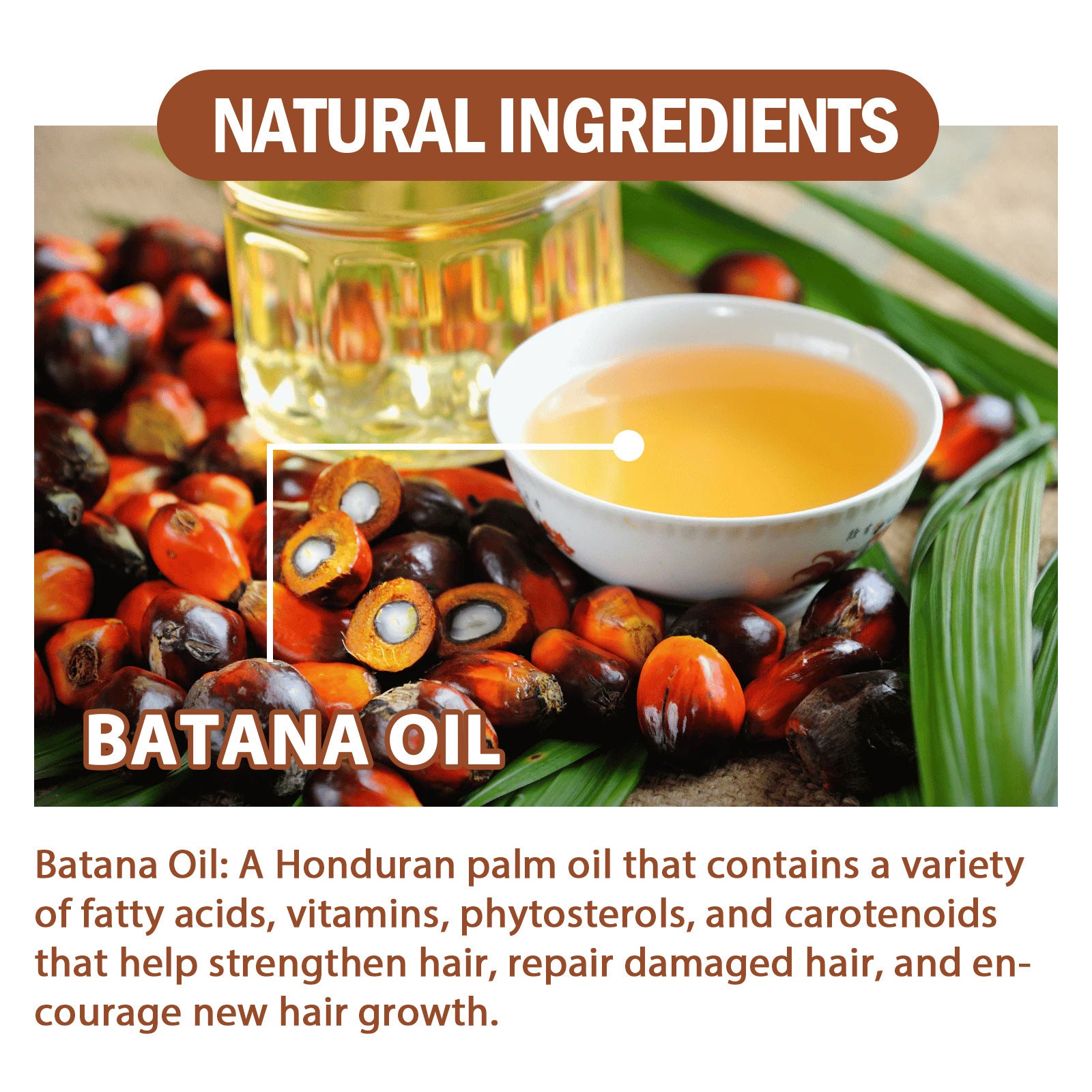 EELHOE Batana Oil Hair Conditioner Moisturizing Hair Root Strengthening And Anti-fall EELHOE COSMETICS