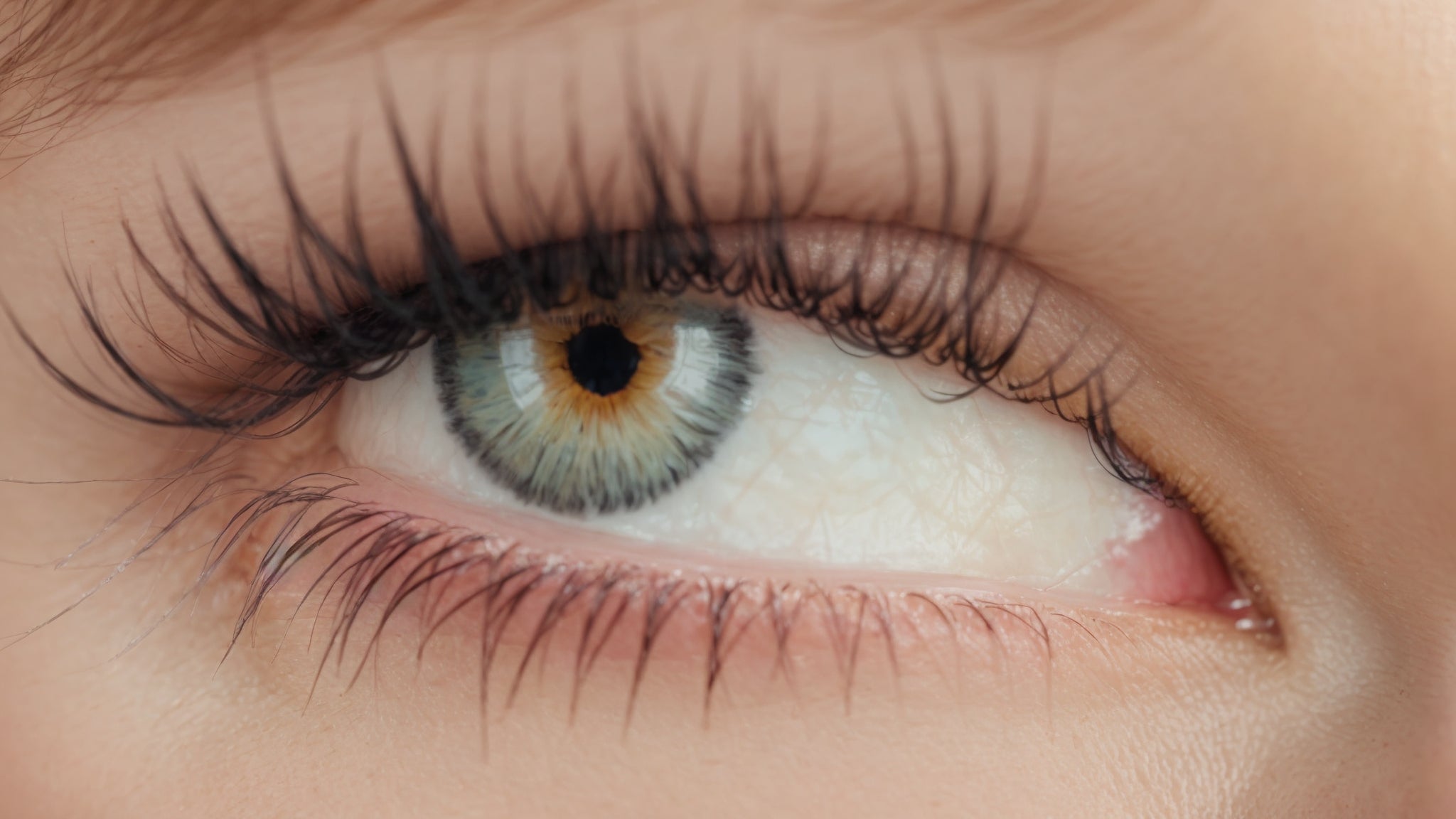 Unlock the Secret to Luscious Lashes with Eyelash Growth Serum