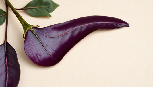 Les Bienfaits et Risques du Peau d'Aubergine : Est-elle Vraiment Saine pour la Peau en 2026 ?