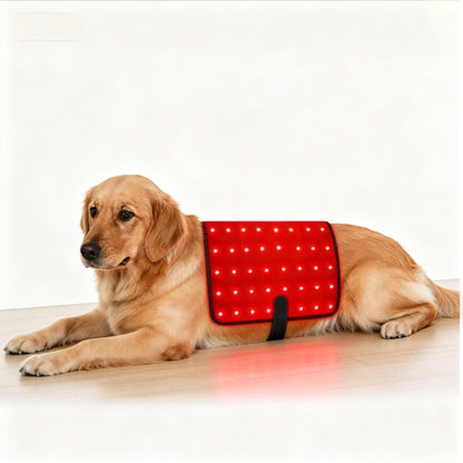Infrared Therapy Blanket for Pets – Pain Relief & Recovery for Dogs & Cats