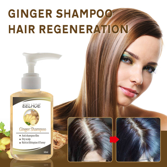 EELHOE Ginger Anti-Dropping Shampoo EELHOE COSMETICS