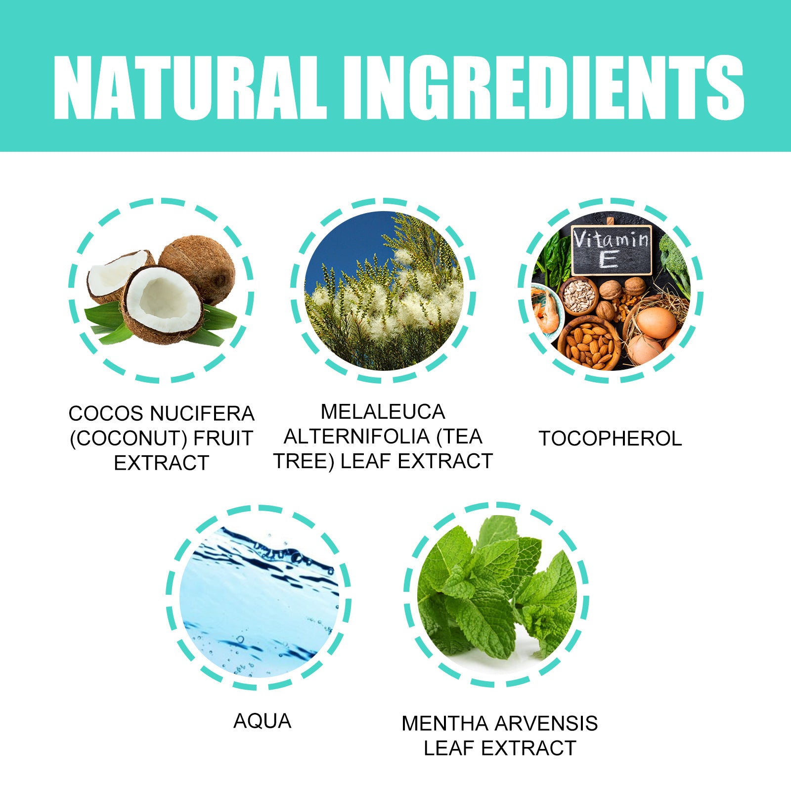 EELHOE Coconut Mint Mouthwash – Teeth Whitening & Fresh Breath EELHOE COSMETICS