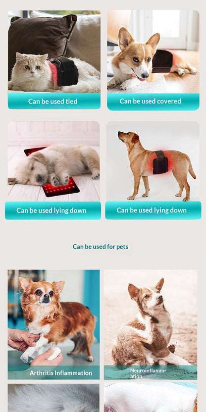 Infrared Therapy Blanket for Pets – Pain Relief & Recovery for Dogs & Cats