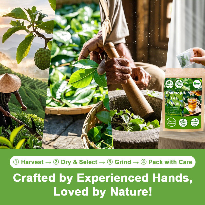 Soursop (Graviola / Annona Leaf) Herbal Tea – 20 Tea Bags EELHOE COSMETICS