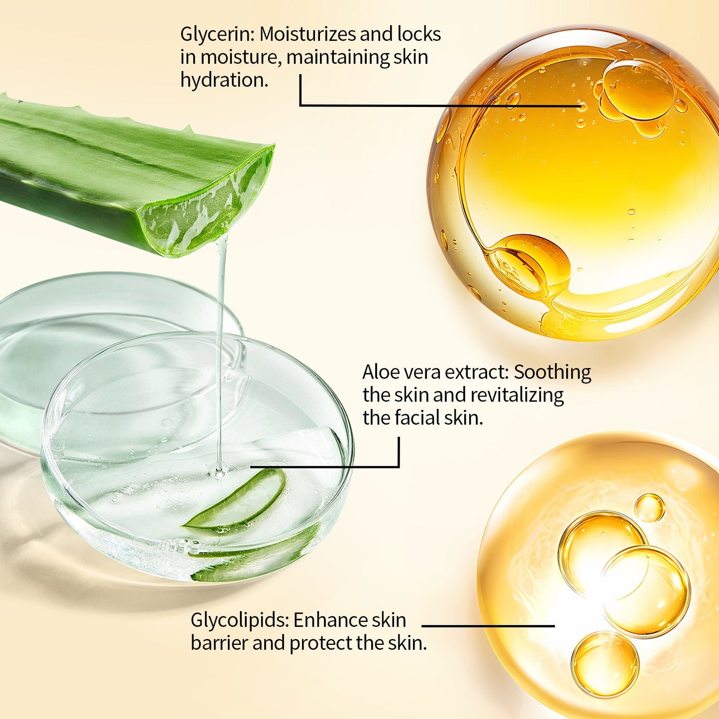 Eelhoe Anti-Acne Care Set - Brightens Skin and Moisturizes EELHOE COSMETICS