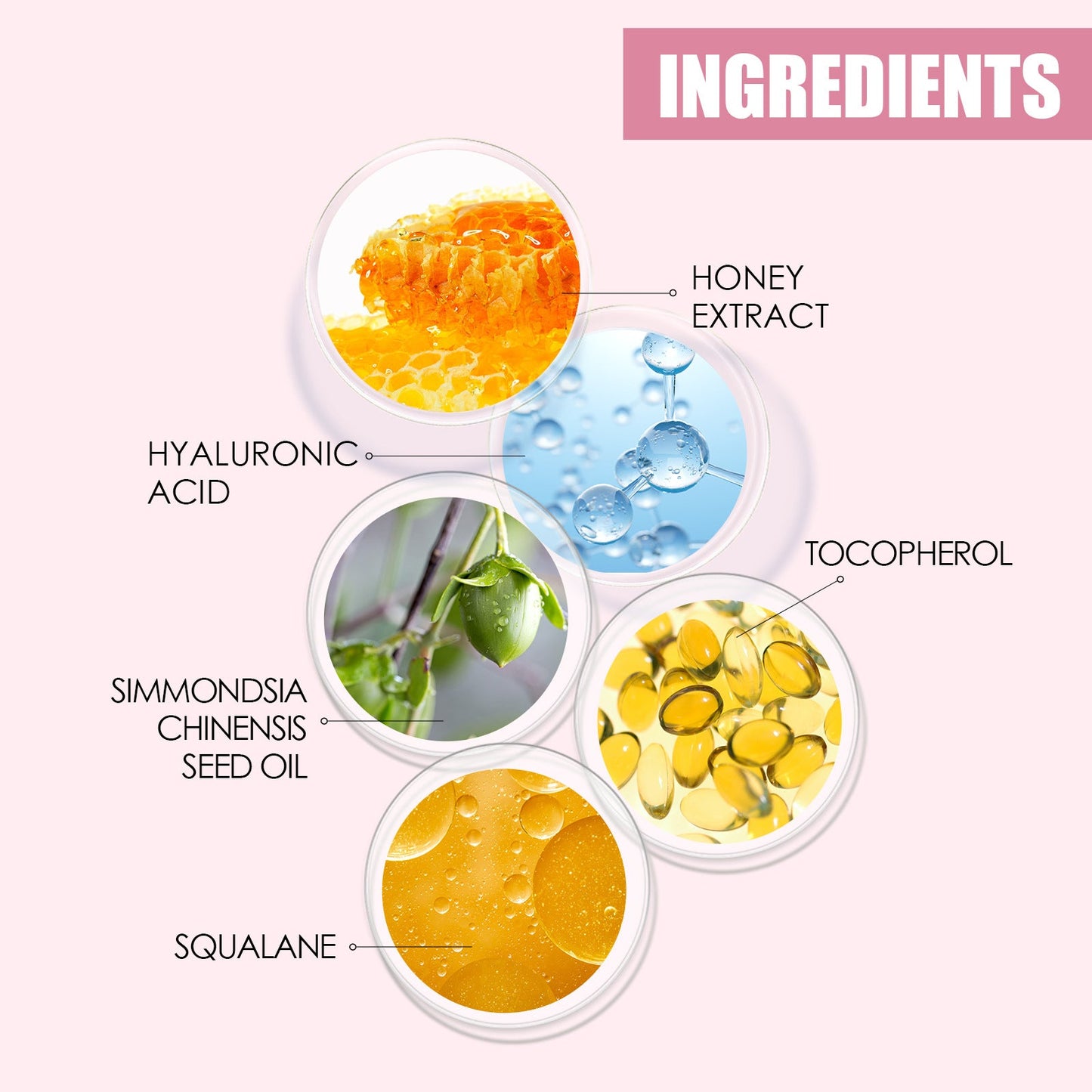 EELHOE Lip gloss Honey Moisturizing Lip Oil Fade Lip Lines EELHOE COSMETICS