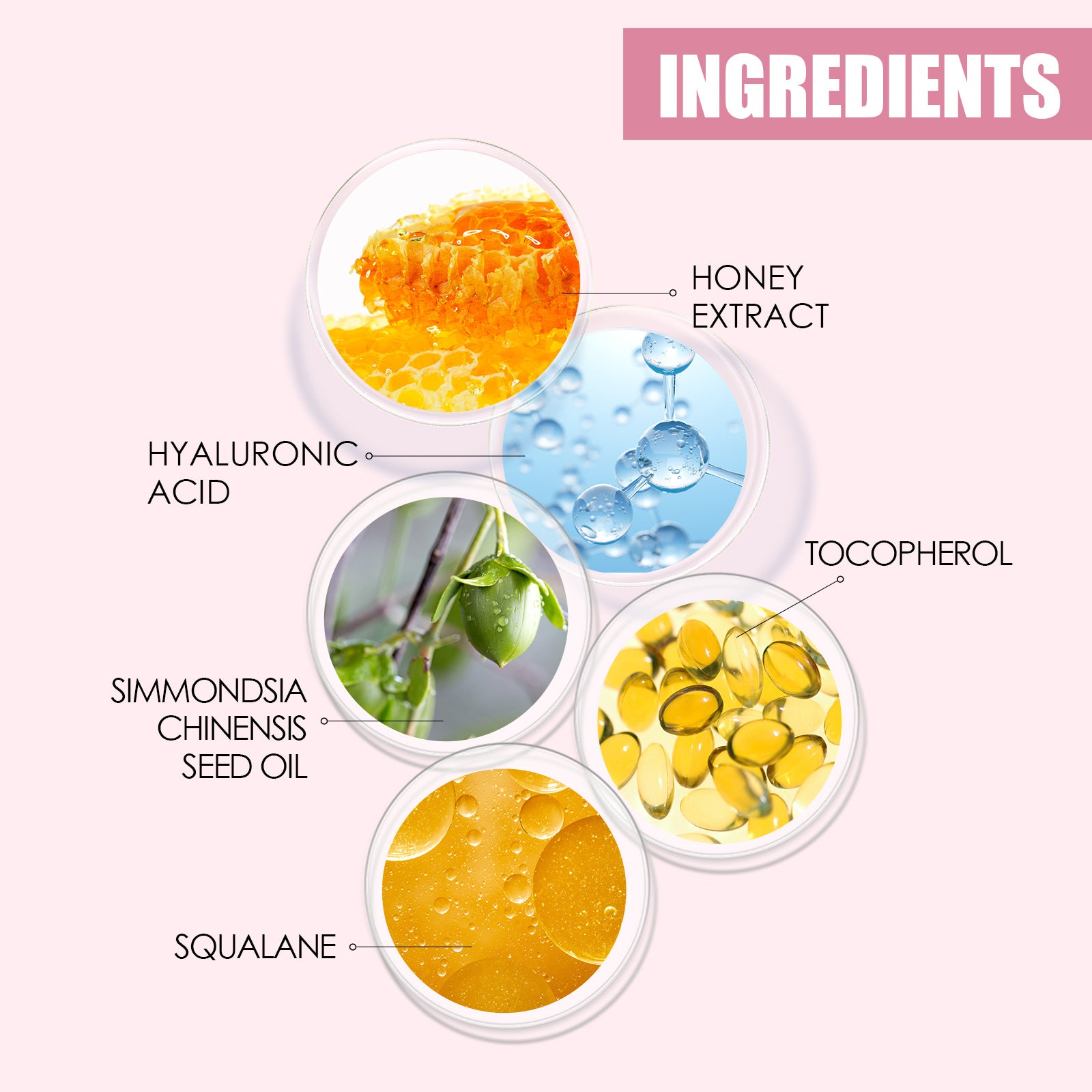 EELHOE Lip gloss Honey Moisturizing Lip Oil Fade Lip Lines EELHOE COSMETICS