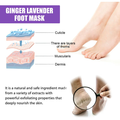 EELHOE Mask Foot Skin Chapped Exfoliating Skin Moisturizing And Nourishing Foot EELHOE COSMETICS