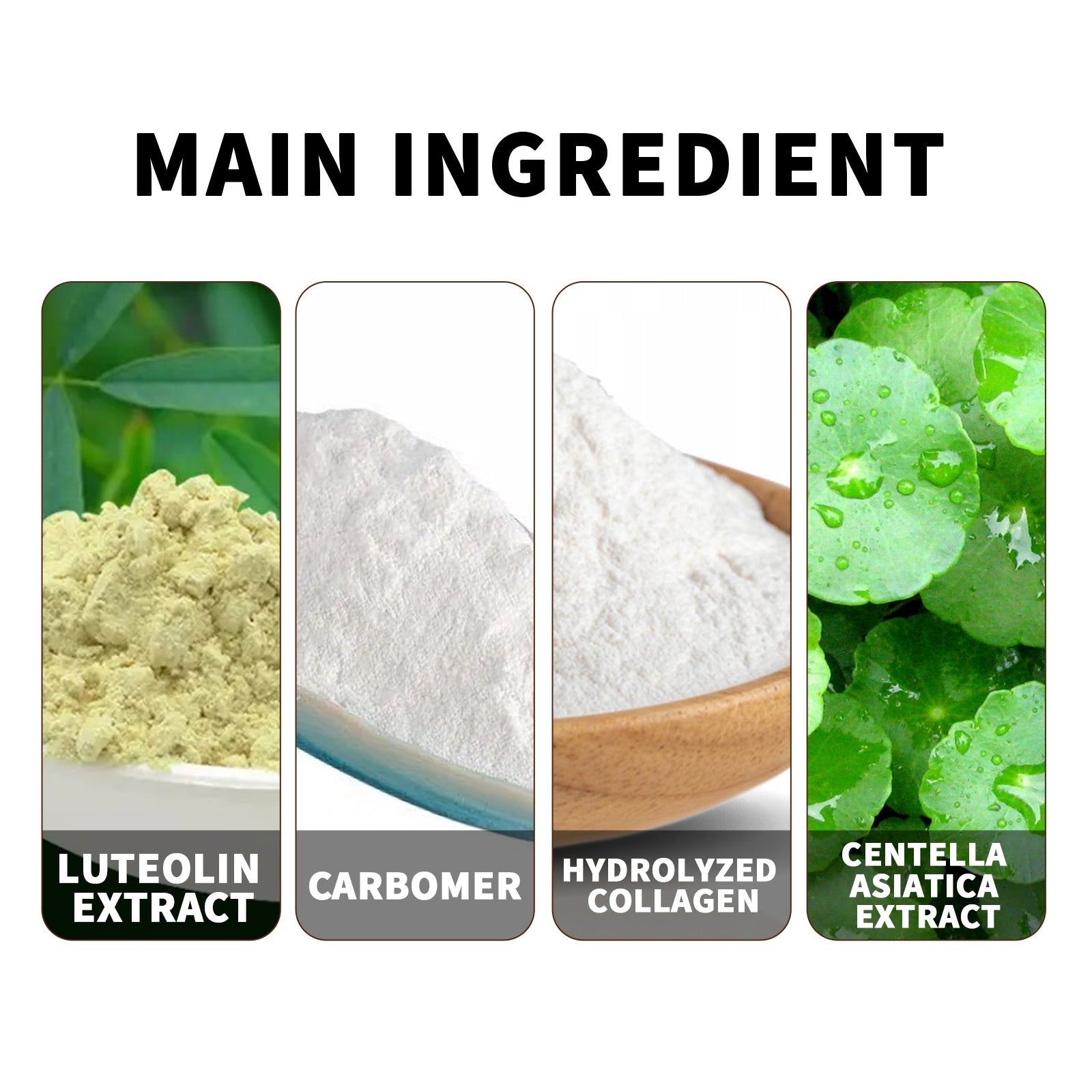 EELHOE Exczema and Psoriasis Cure Skin Moss Repair Essential Oil Relieves Itching EELHOE COSMETICS