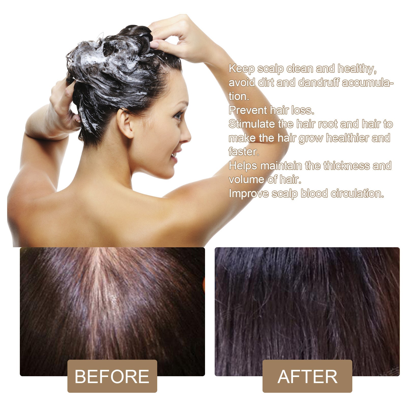 EELHOE Rice Hair Growth Anti-Dropping Shampoo Cleaning For Rice EELHOE COSMETICS